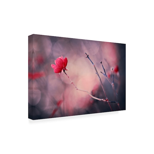 Ajkabajka 'Rose Flowers' Canvas Art,16x24